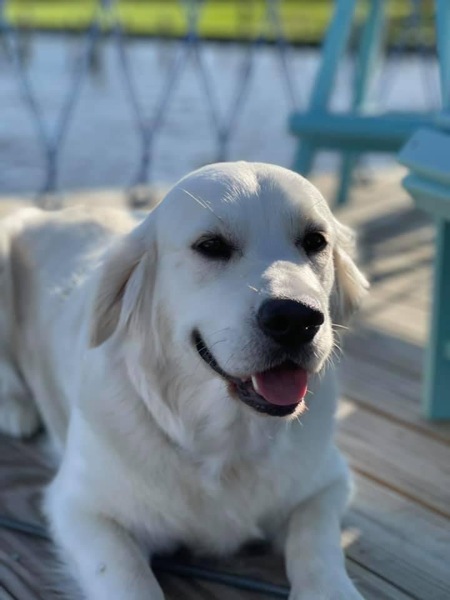 Tovah