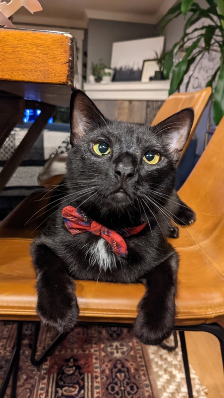 Simcoe