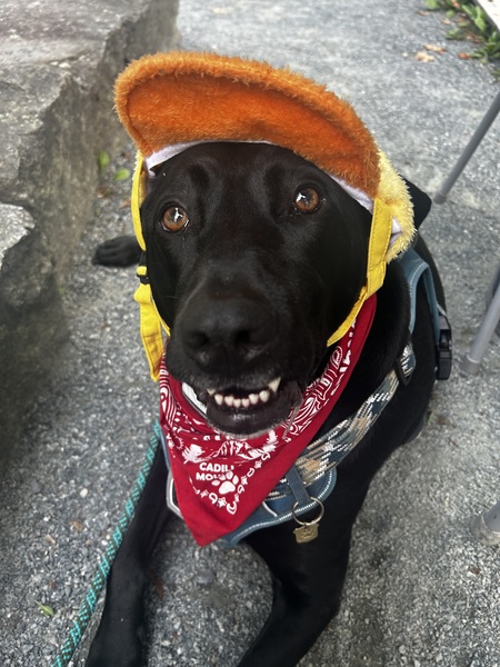 Roscoe