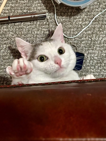 Buffy 