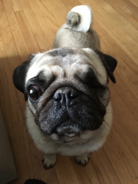 One Eyed Jack