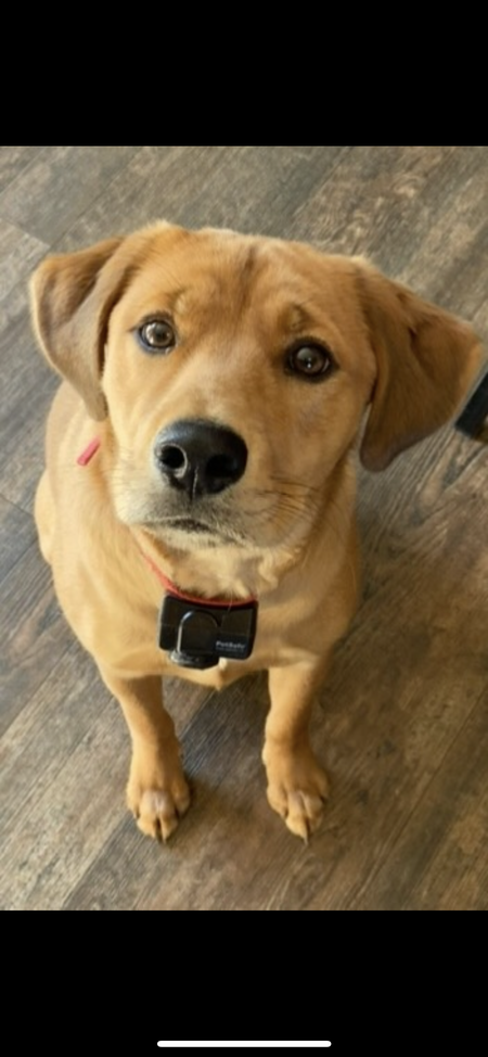 Freya