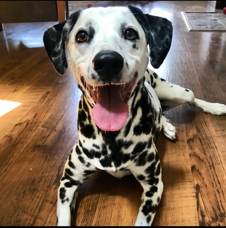Zoey