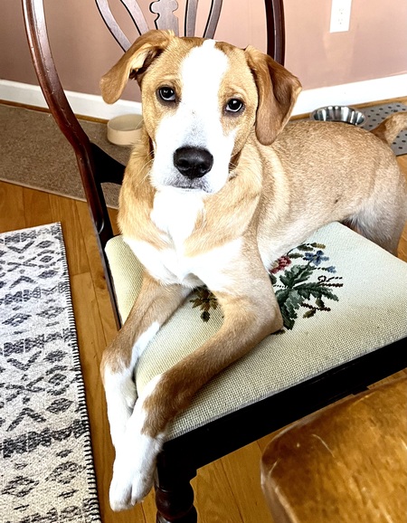Fiona 