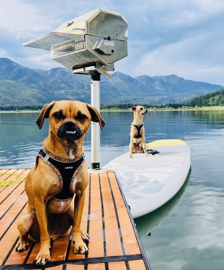 Hank and Happy