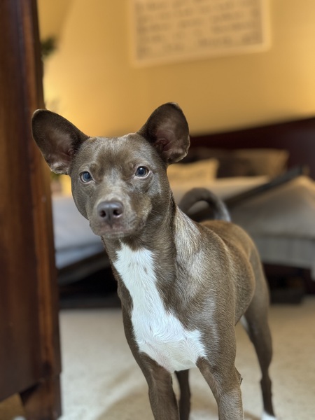 Rylee