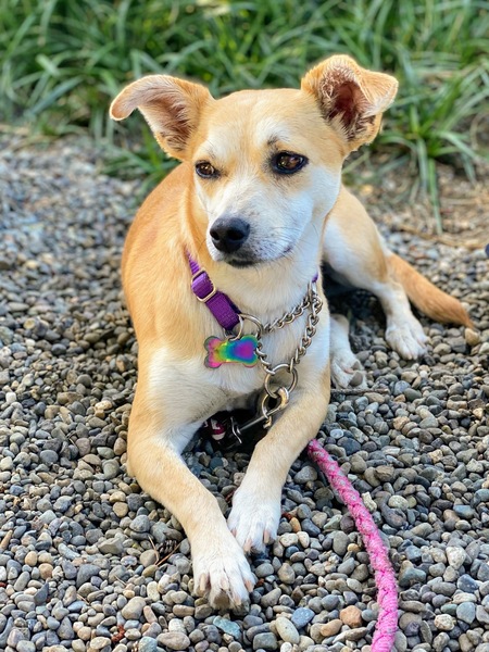 Darla