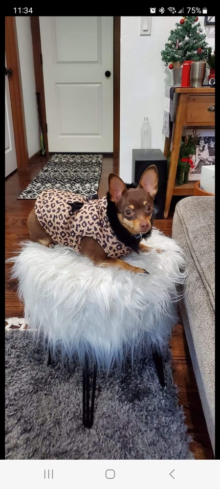 Prissie