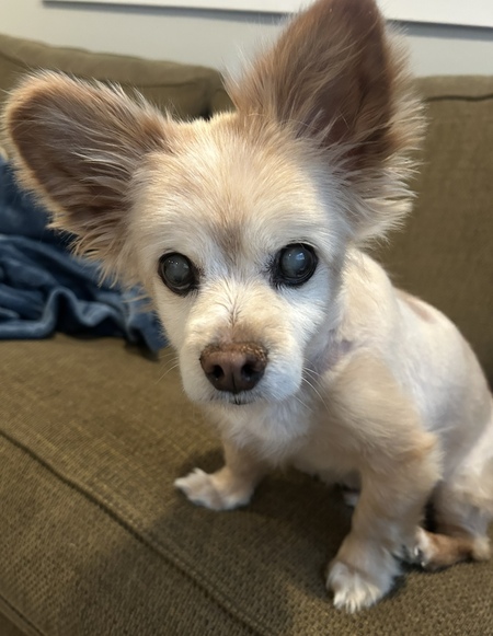 Max