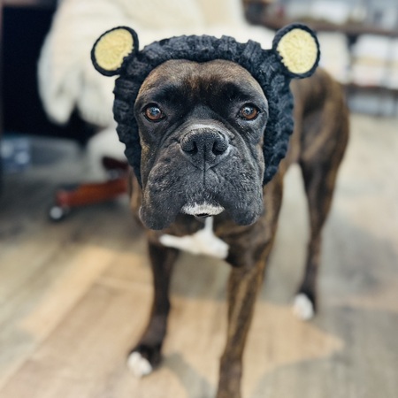 Freya Rose aka House Hippo