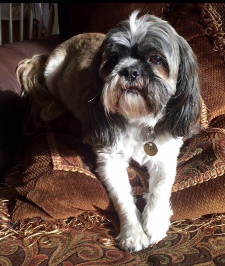 Sammy