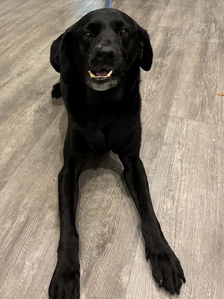 Max
