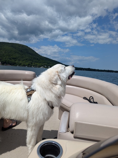 Yeti