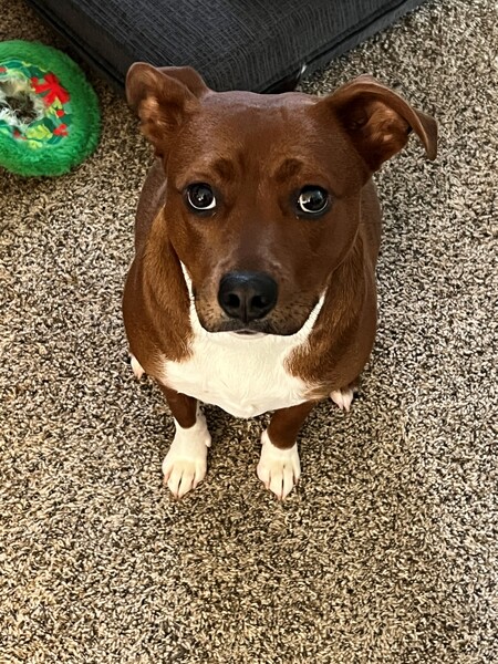 Rosie