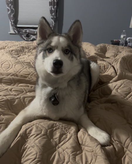 Olaf