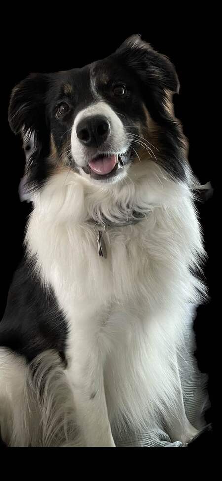 Ruby Tuesday!