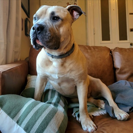 Buster