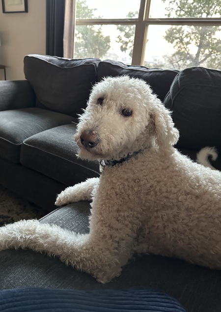 Rosie