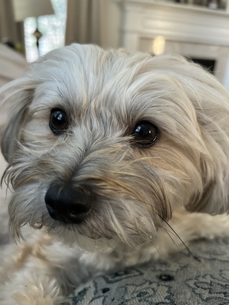 Charlie