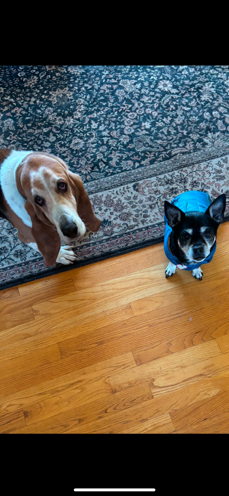 Onyx and Cooper 