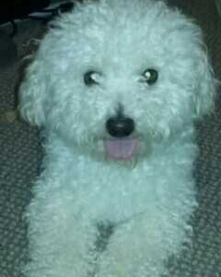Charlie