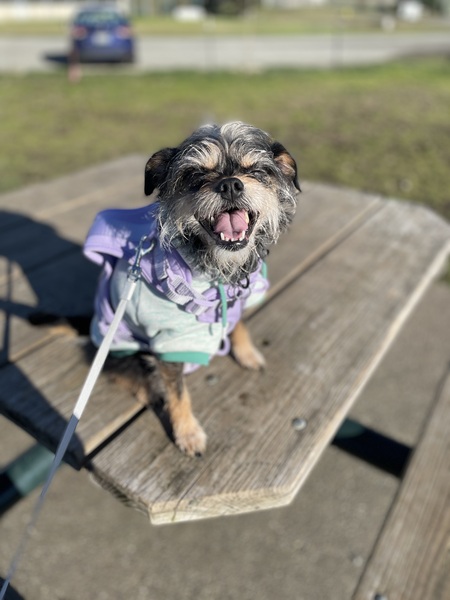 Penny
