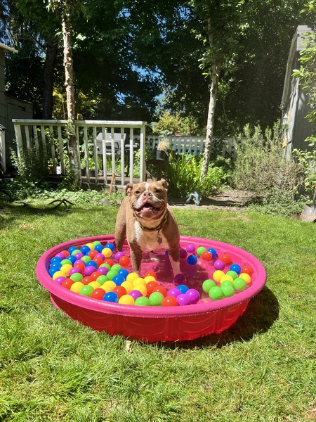 Leia