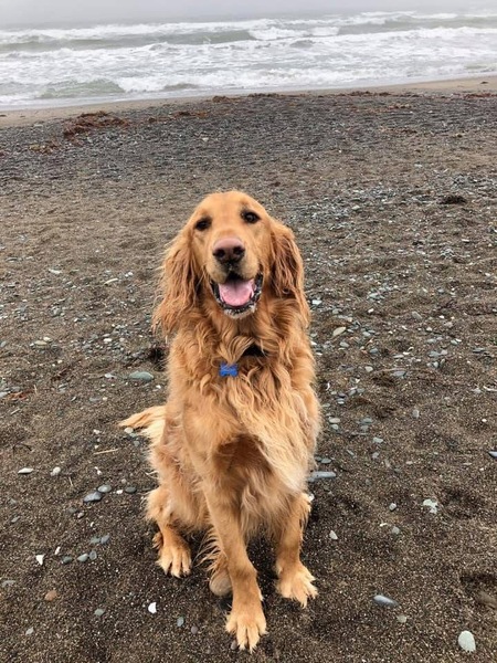 Cooper