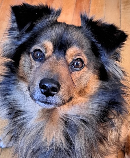 Riley