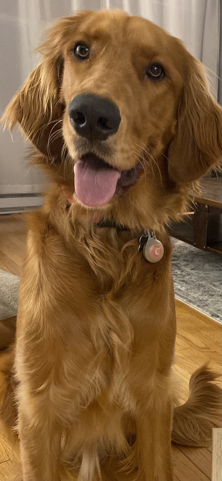 Ollie