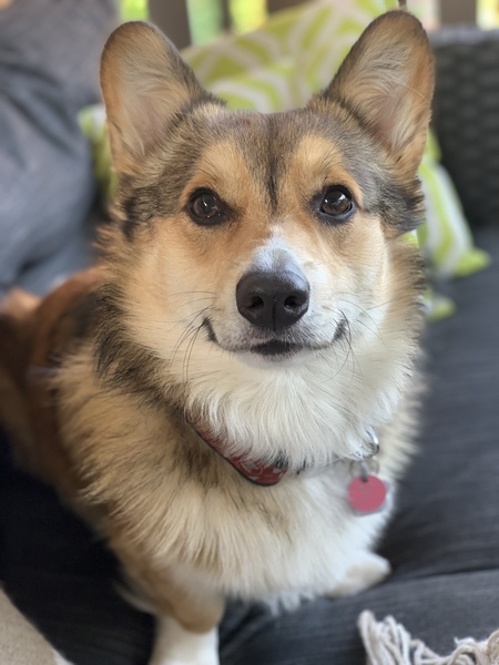 Digby