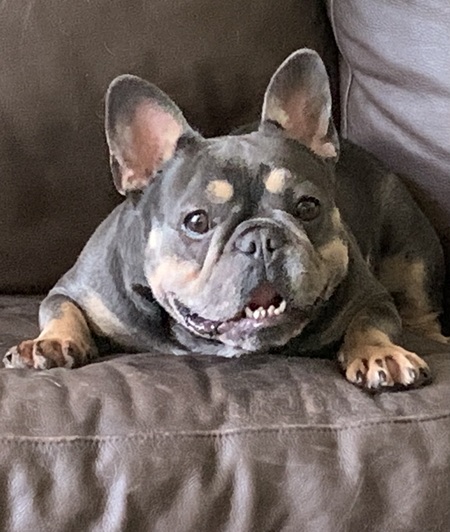 Frannie