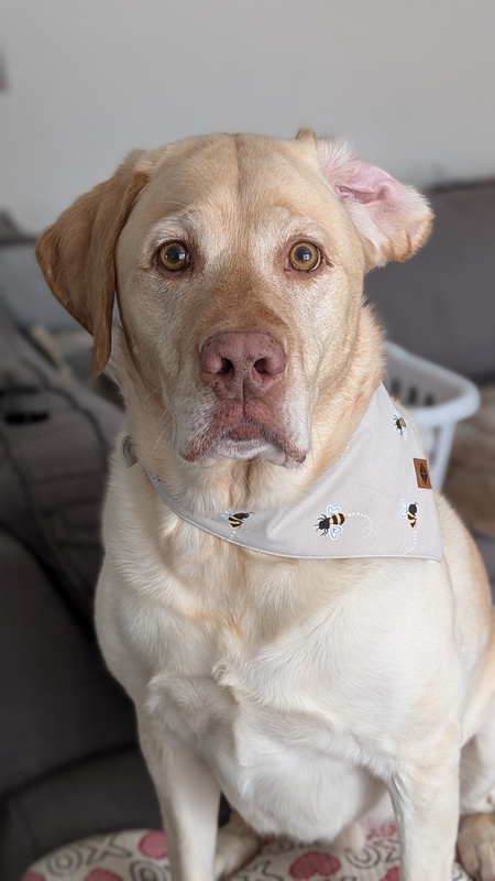Finnigan
