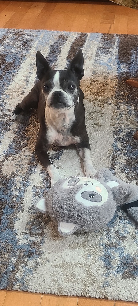 Chloe