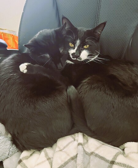Statler & Waldorf