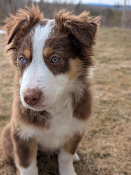 Jax
