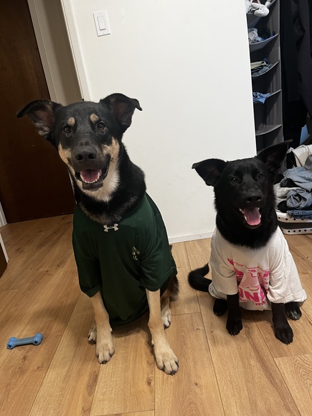 Beau and bear
