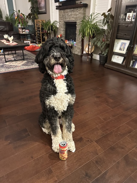 Tucker