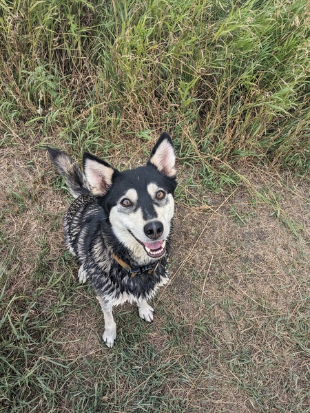 Kida Cleopatra