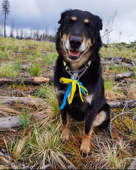 Mika