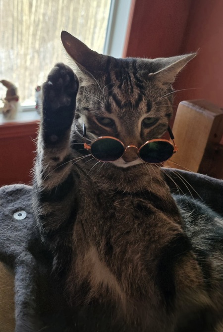Hobbs