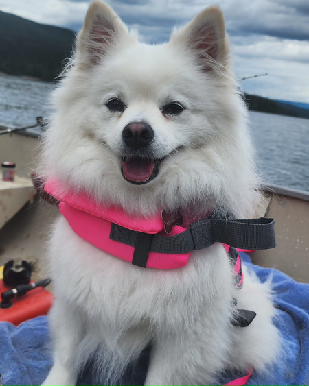 Mia