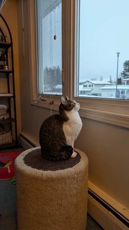 Maude