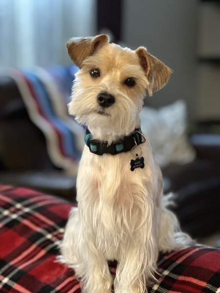 Wyatt