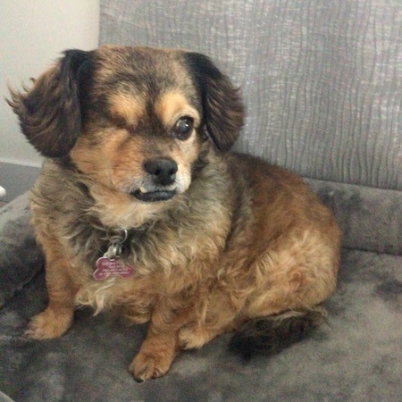 Daisy