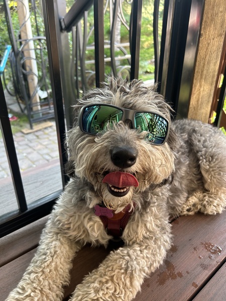 Stella