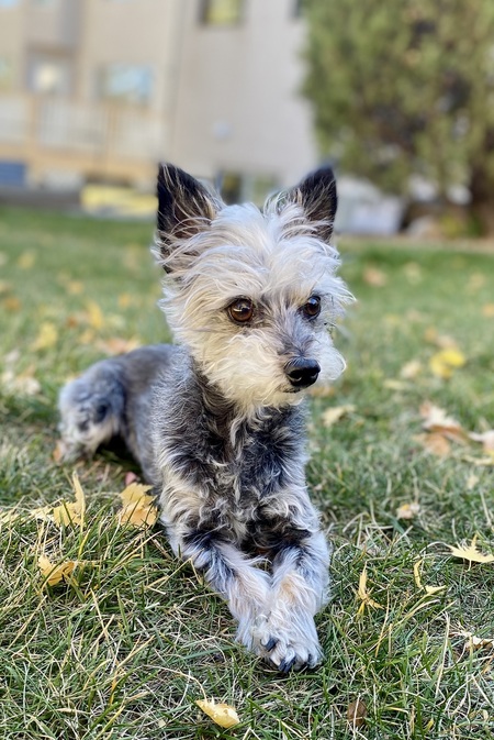 Finnley
