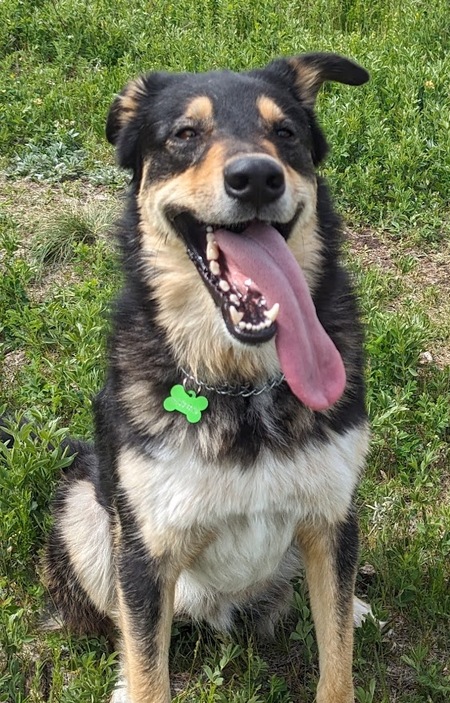 Astro