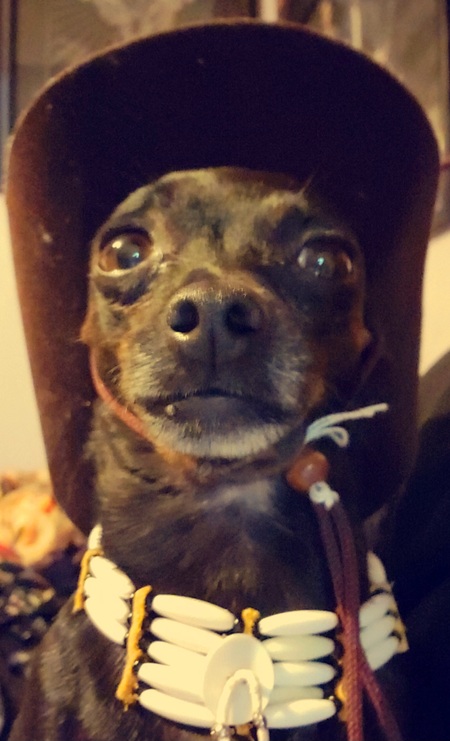 Koda