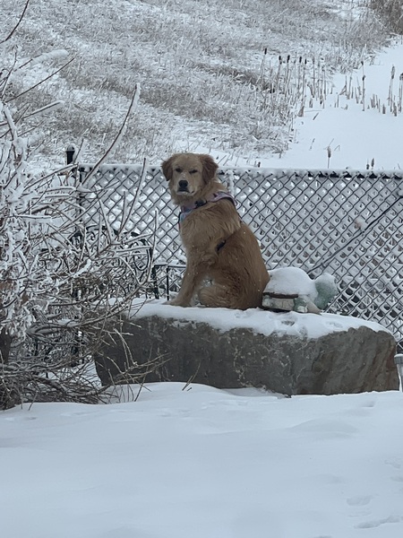 Charlie